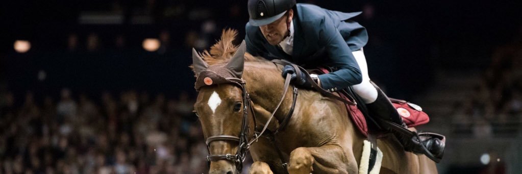 Journal Le Cheval banner