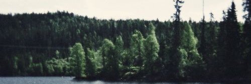 taloneitha's profile banner image