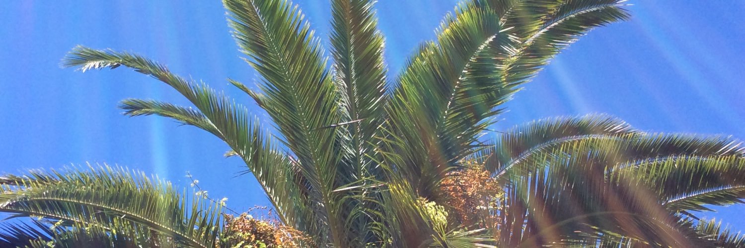 nataleirene's profile banner image