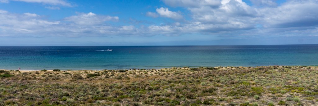 Hannah Freeman banner