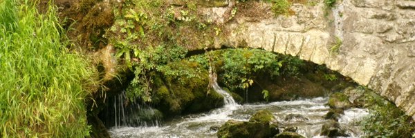 leonypeace Profile Banner