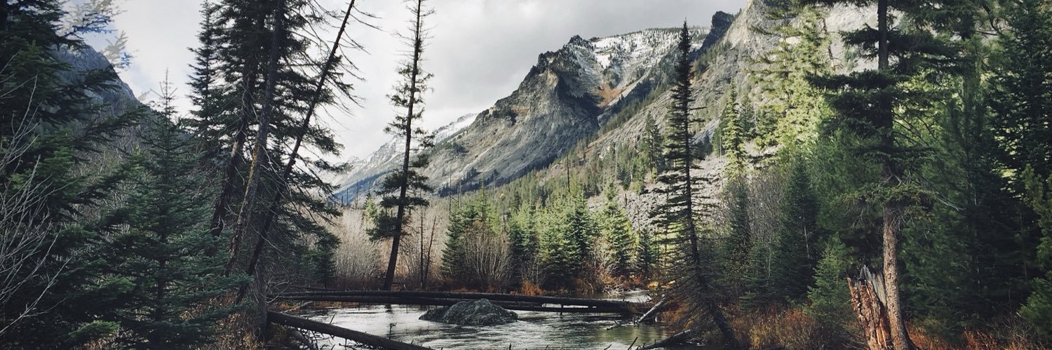 pkearns's profile banner image