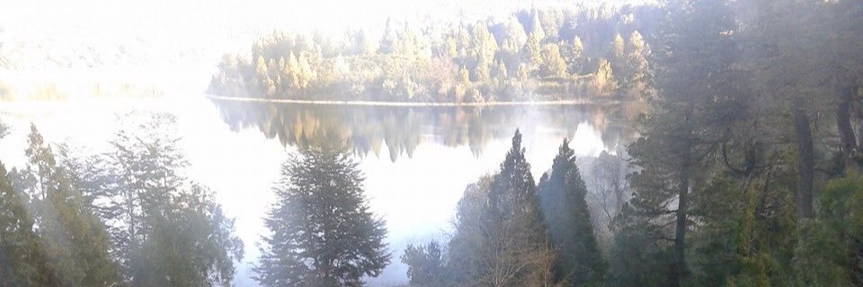 pepaproserpio's profile banner image