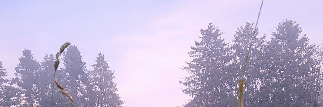Pasta Lover banner