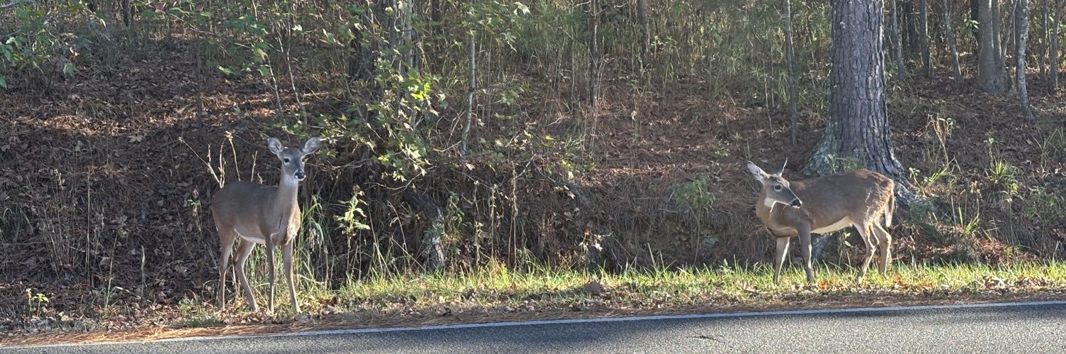 William Barrell banner