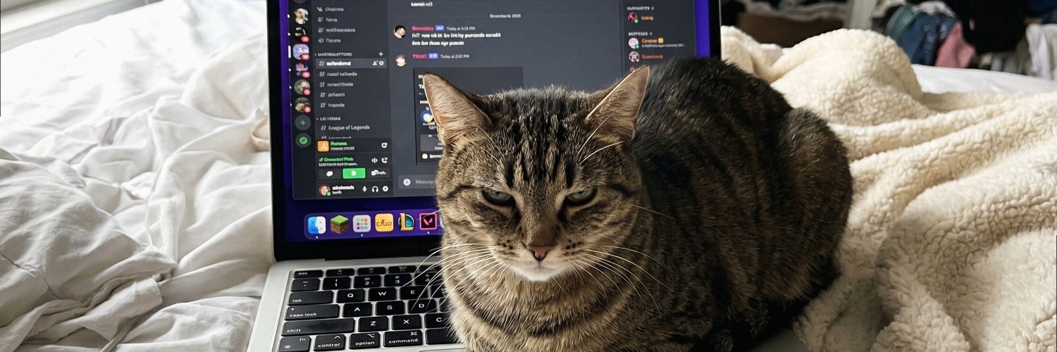 sophiarest_m9's profile banner image