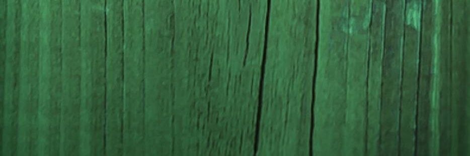 CaraLJames's profile banner image