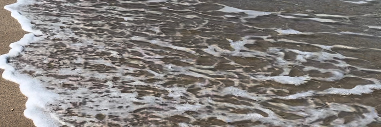 Barborourke1's profile banner image