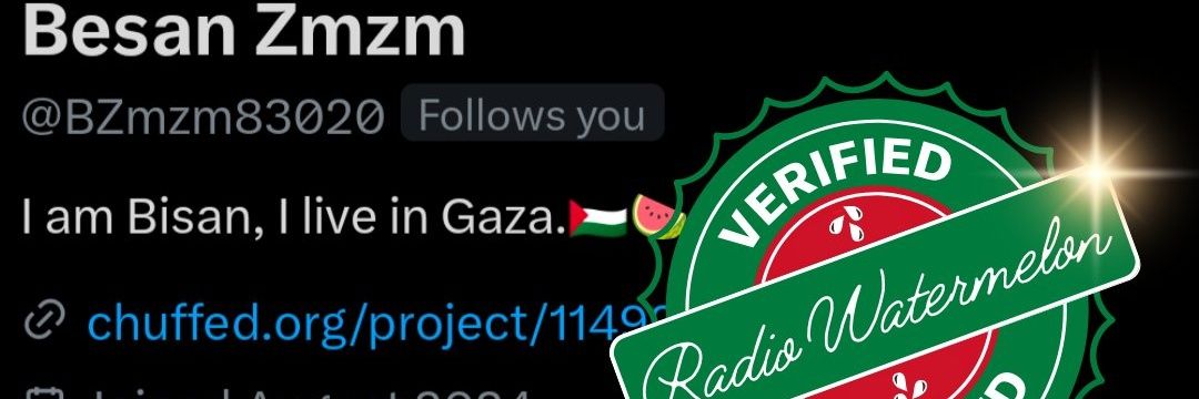 Besan Zmzm's banner