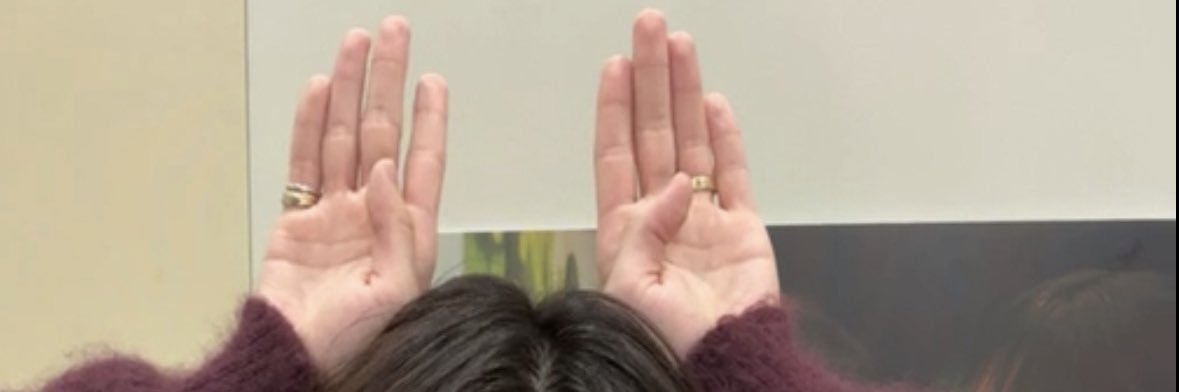 🐰 banner