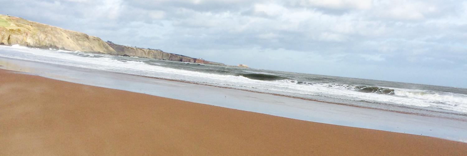 LisaWalmsley_x's profile banner image