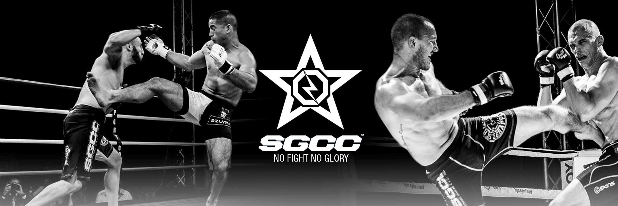 SGCC_MMA's profile banner image