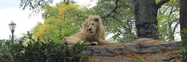 JonMarcGrodi Profile Banner