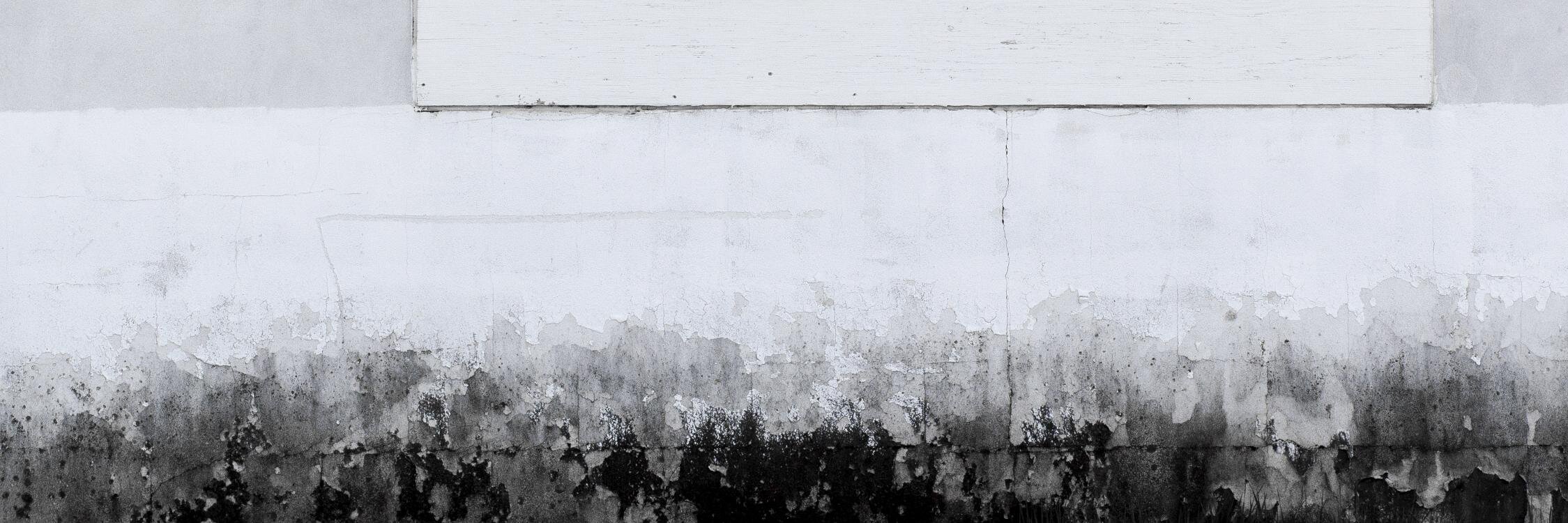 François Angers banner