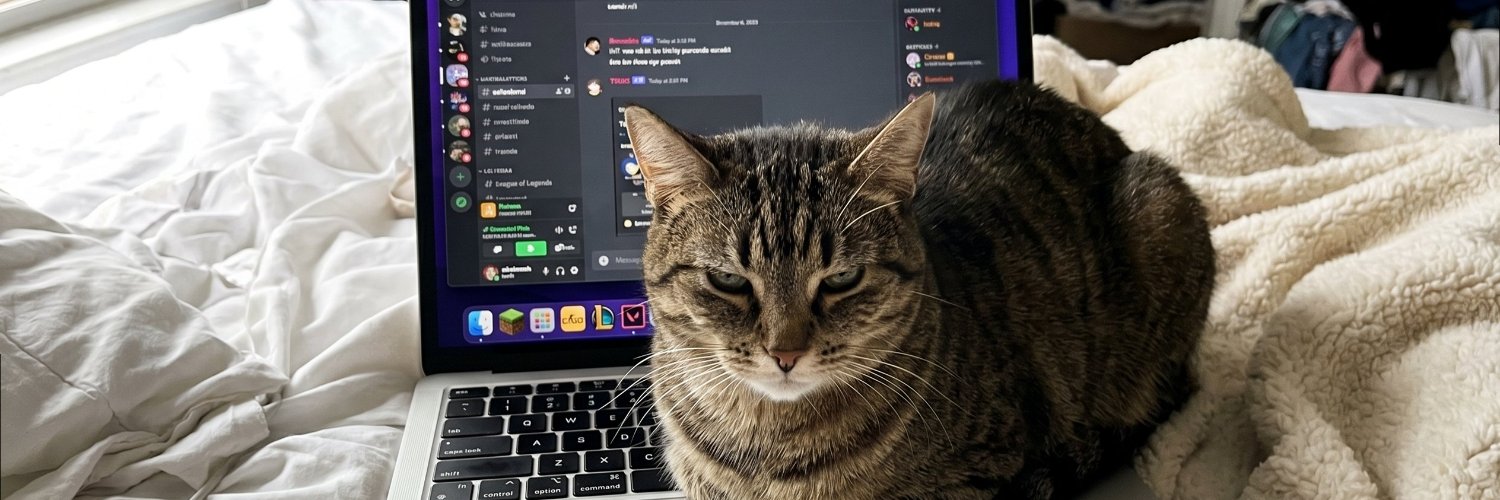 sofiz35's profile banner image