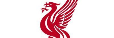 Bosh_insights banner