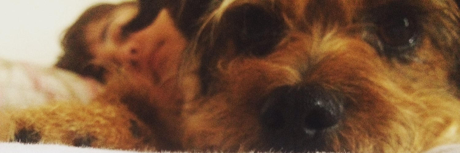 SilviaForner's profile banner image