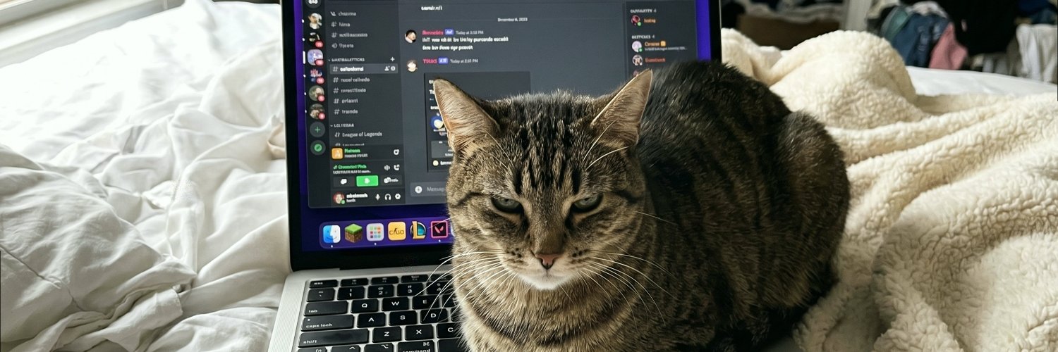sofiecozy90's profile banner image
