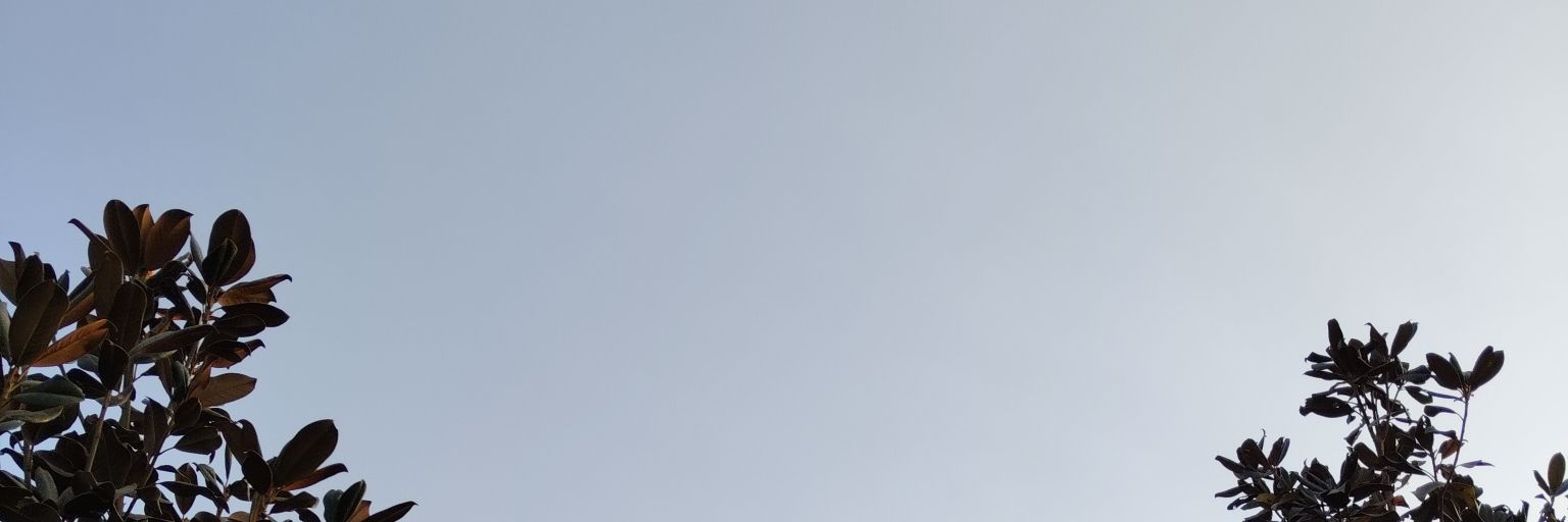 davidbull122's profile banner image