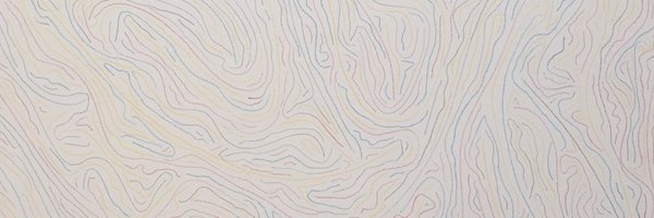 thischoi Profile Banner