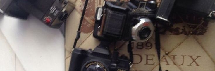 𝖿𝖾𝗅𝗂𝗉𝖾. banner