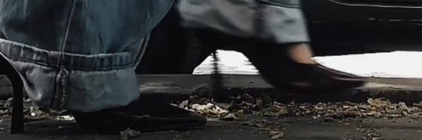 lily_yyss Profile Banner