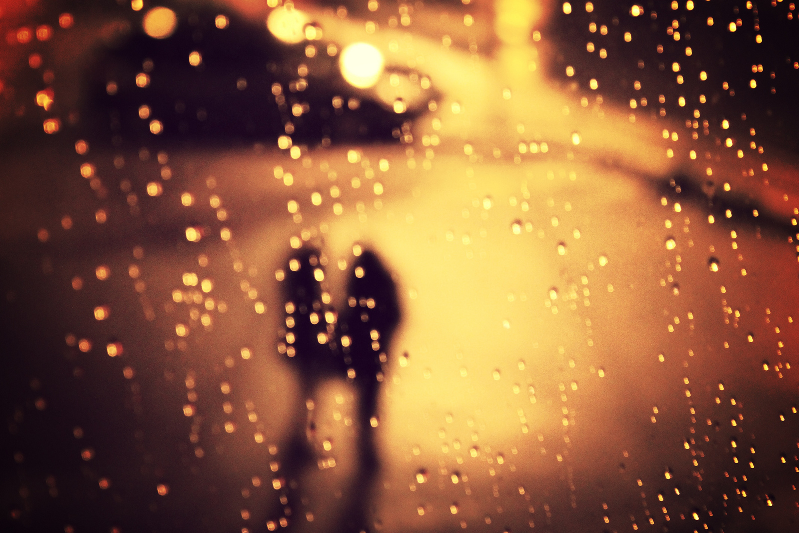 _ws_bot's profile banner image