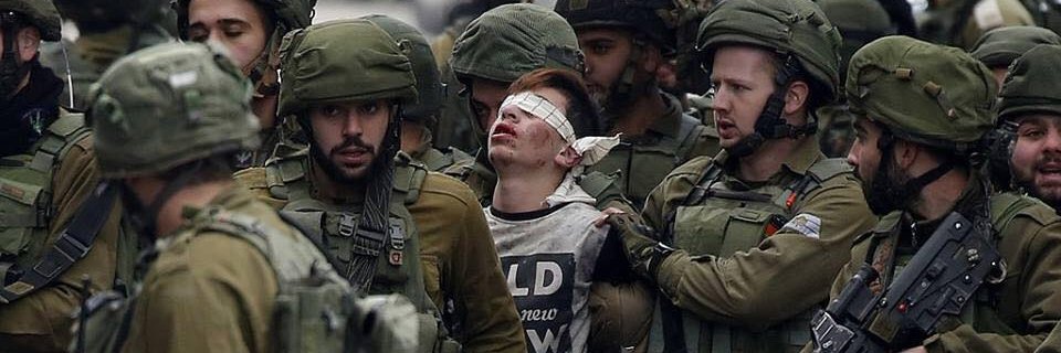 Human_Defenders's profile banner image
