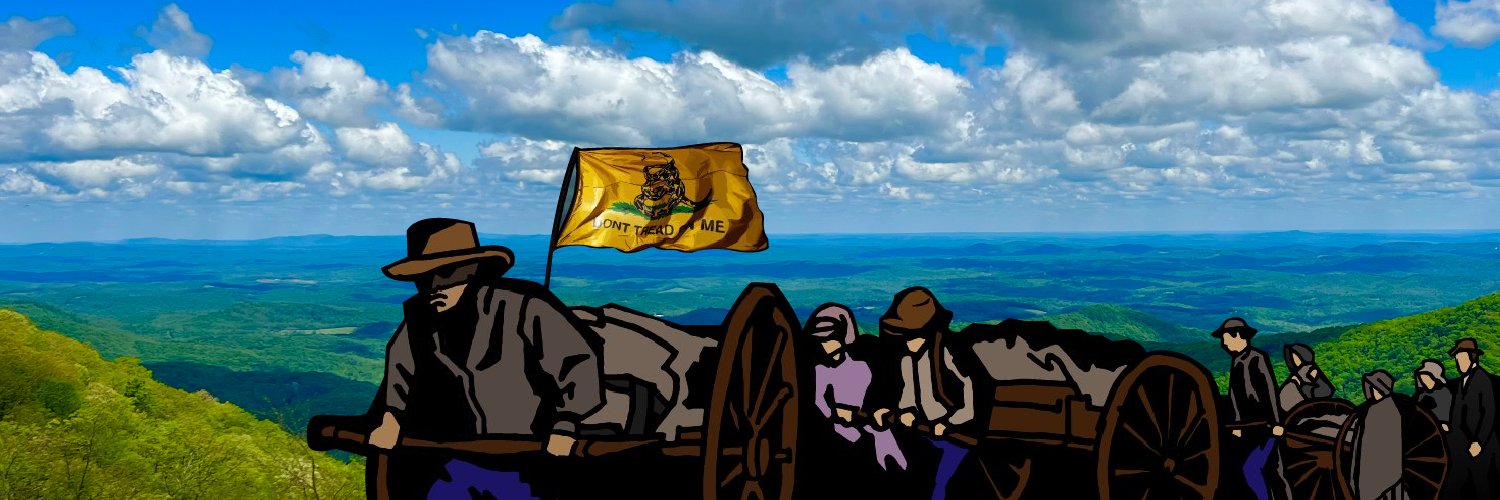 Big Rock Insights's banner