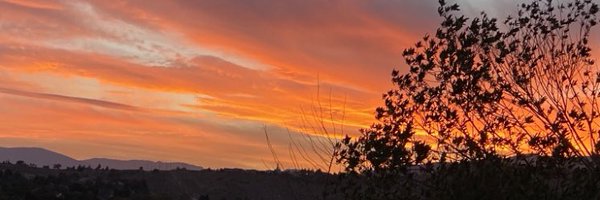 RobertaP Profile Banner