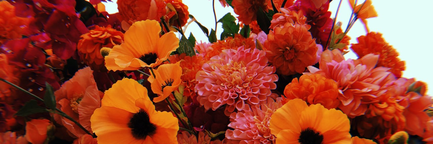 amywootten's profile banner image