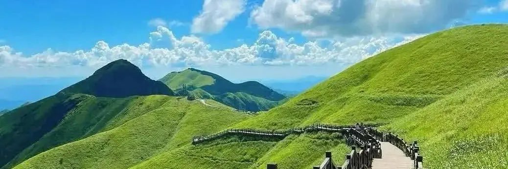 Happy Lee🇨🇳(互fo) banner