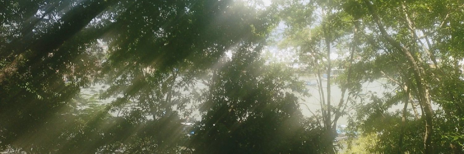번 banner
