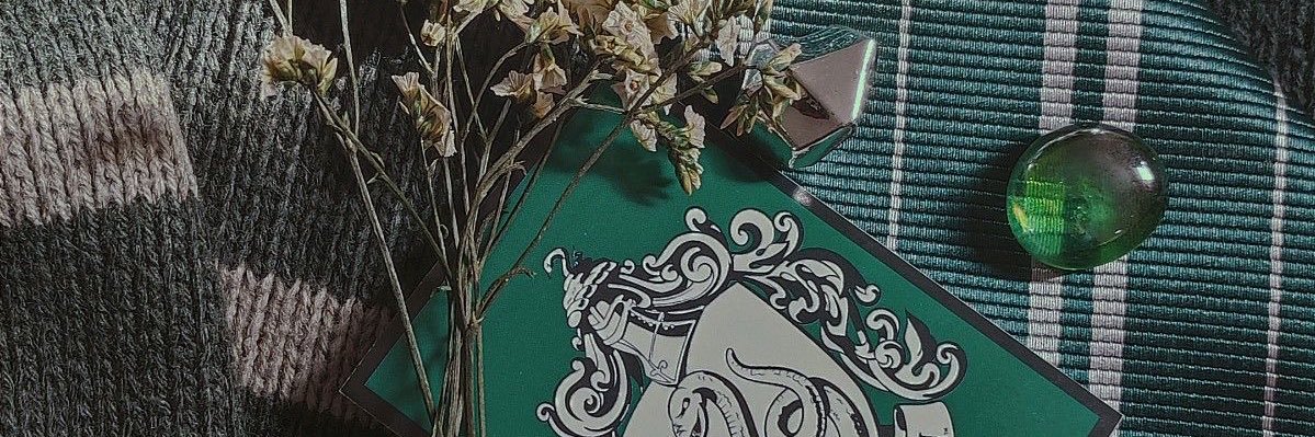 すてら🌟⋆꙳ banner