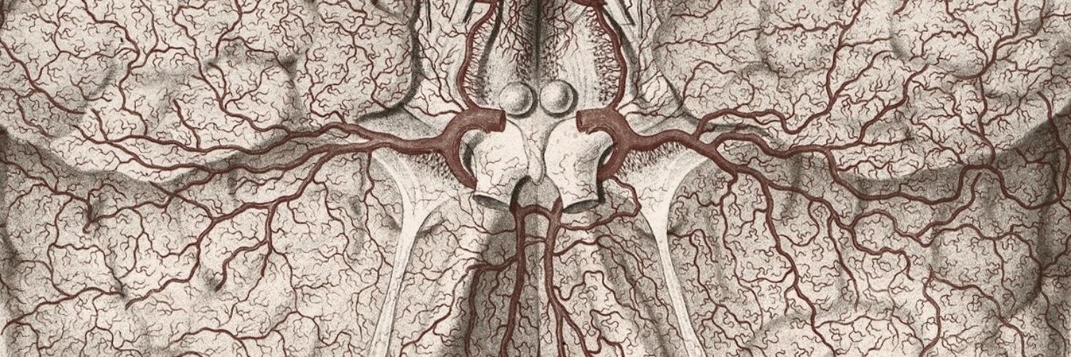 graнaм rezηιcĸ banner