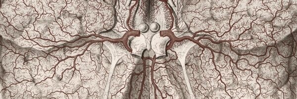 GrahamReznick Profile Banner