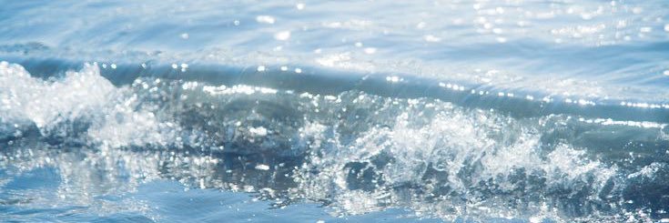 Amjad | وَحي banner