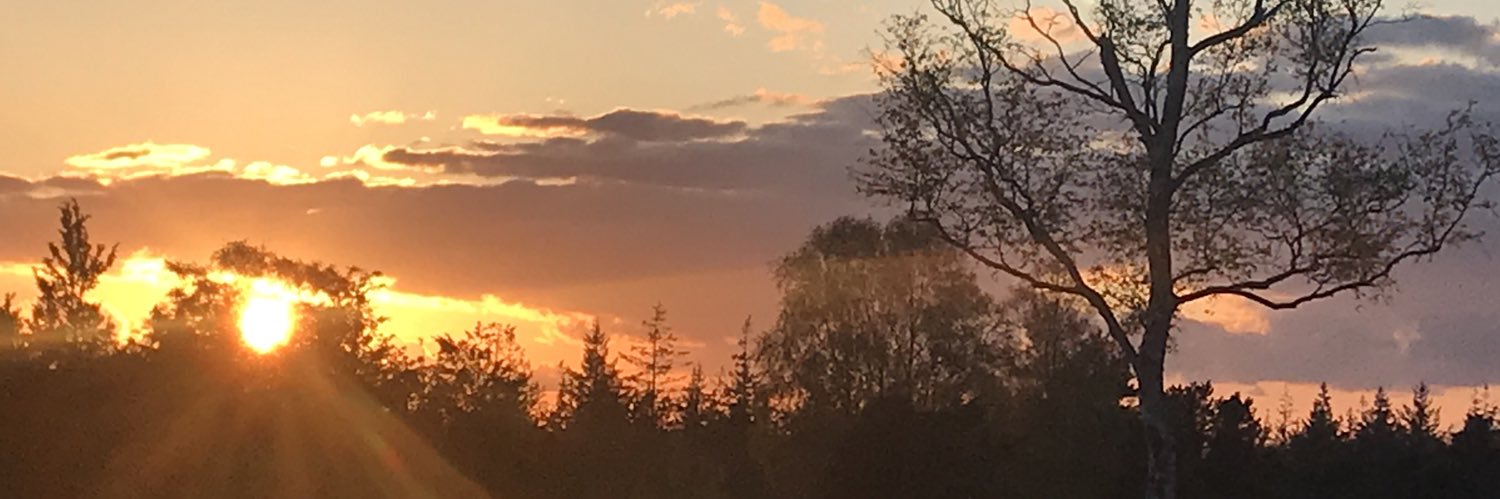 MarkBeentjes's profile banner image