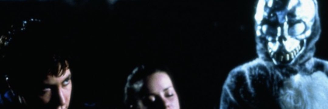 dillybaroots's profile banner image