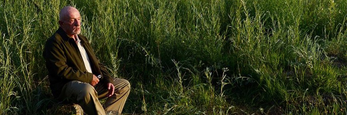 bayabos's profile banner image