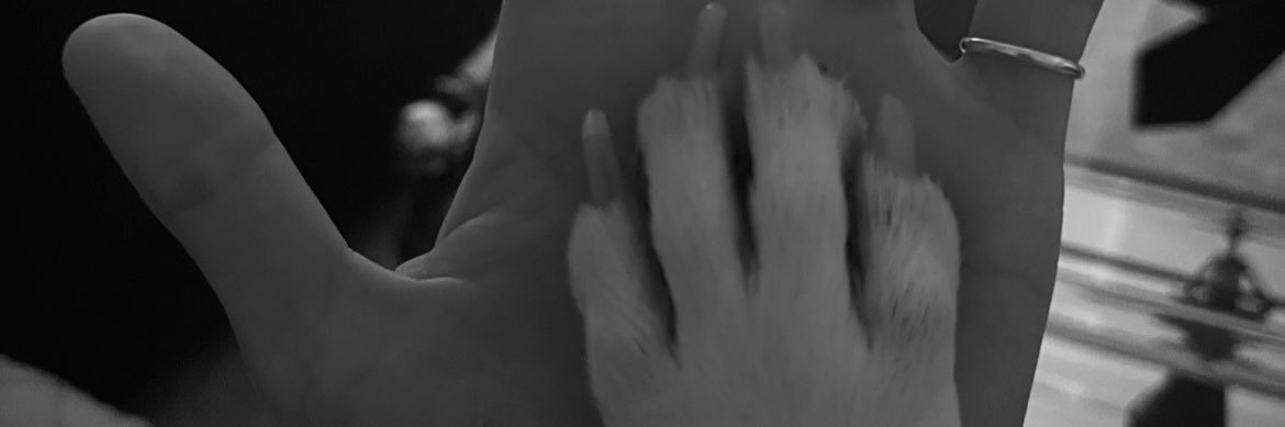 Lour04's profile banner image
