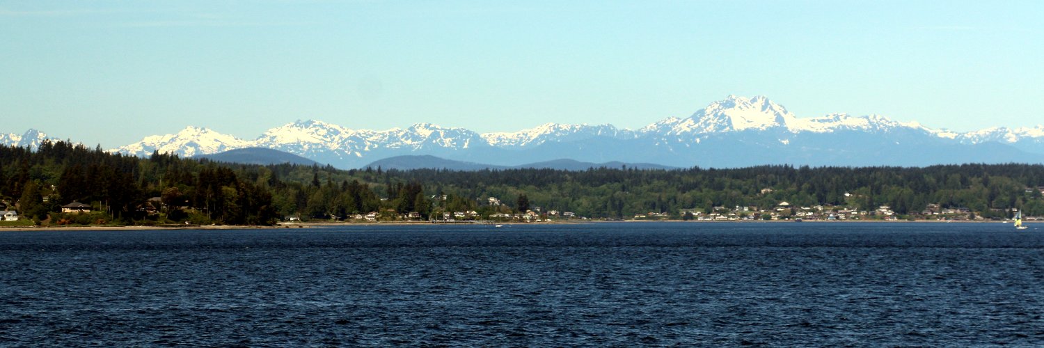 Mark Kamichoff banner