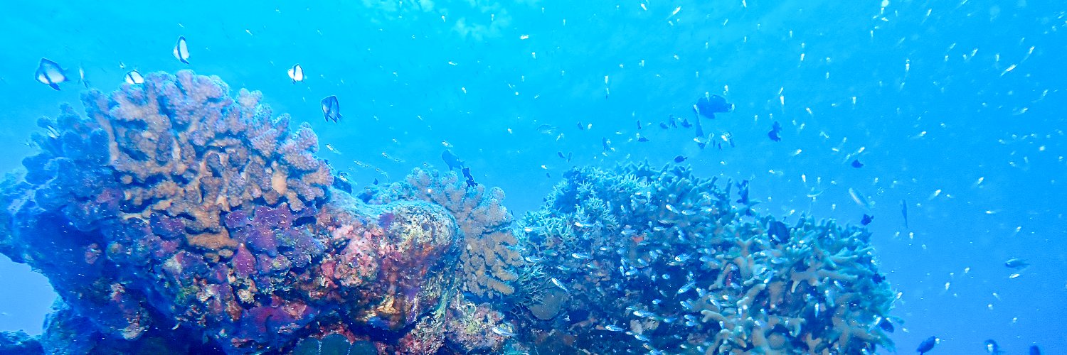 Divehub_web's profile banner image