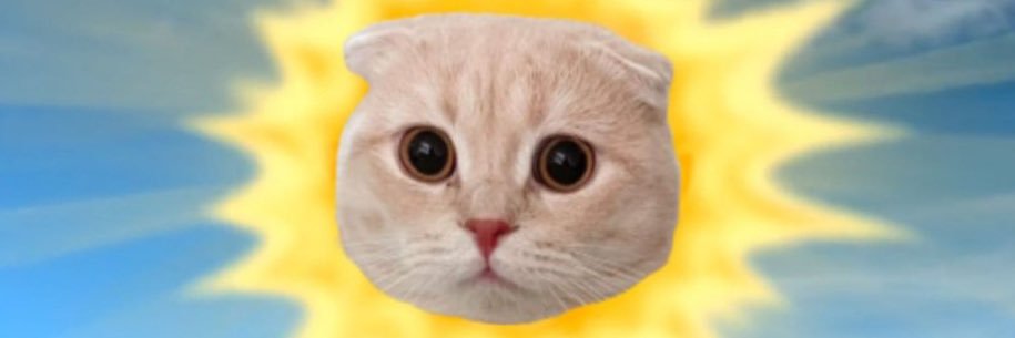 🌻 banner