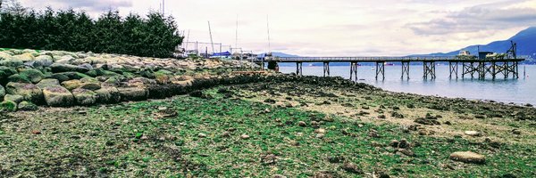 OG_TCELL Profile Banner