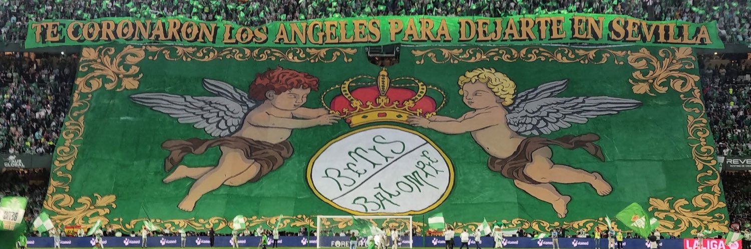 Mapache Verdiblanco banner