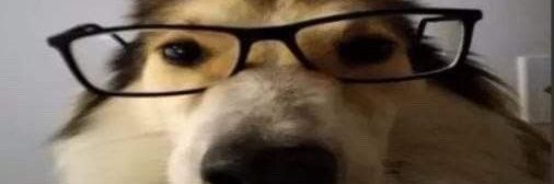 เดโน่เนิร์ดinwza007 banner