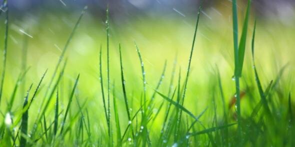 HealthCareChaplaincy banner