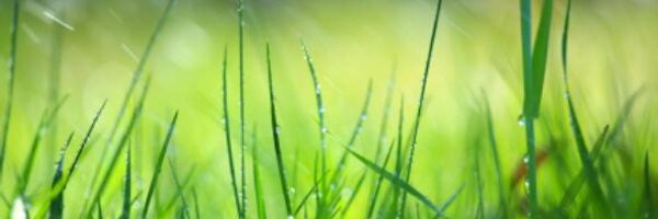 MeaningComfort Profile Banner