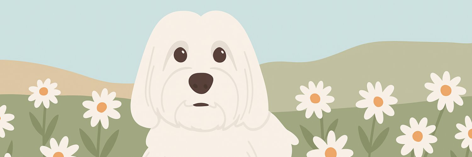 roccotfup's profile banner image